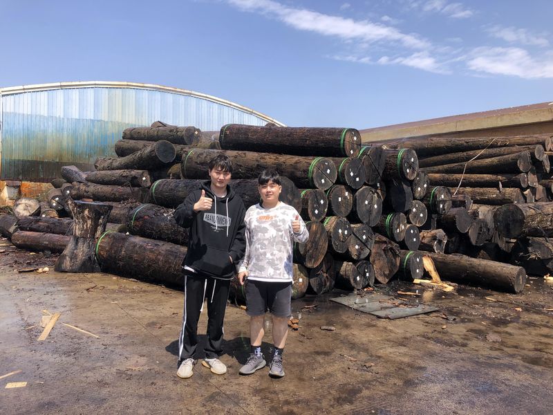 Dongguan Lingfeng Wood Industry Co., Ltd. línea de producción del fabricante