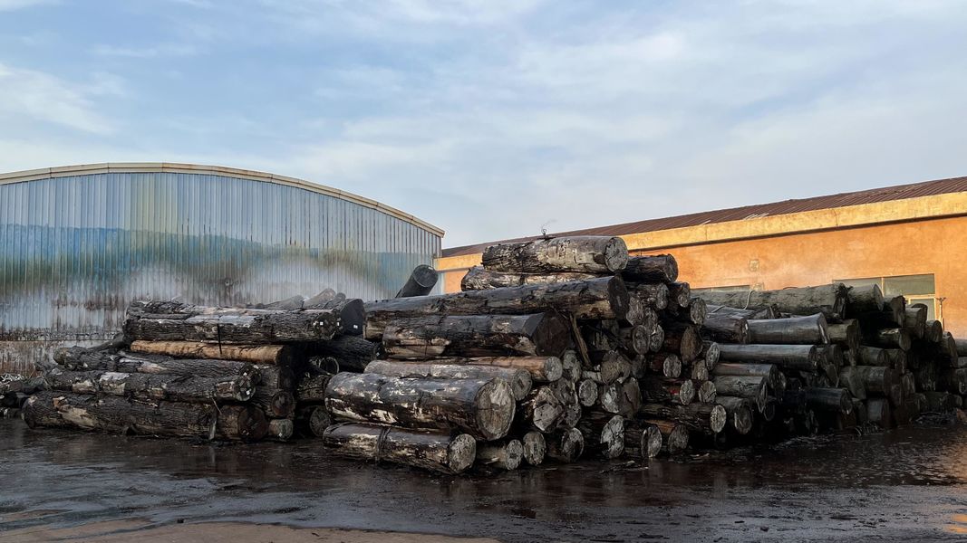 Dongguan Lingfeng Wood Industry Co., Ltd. línea de producción del fabricante