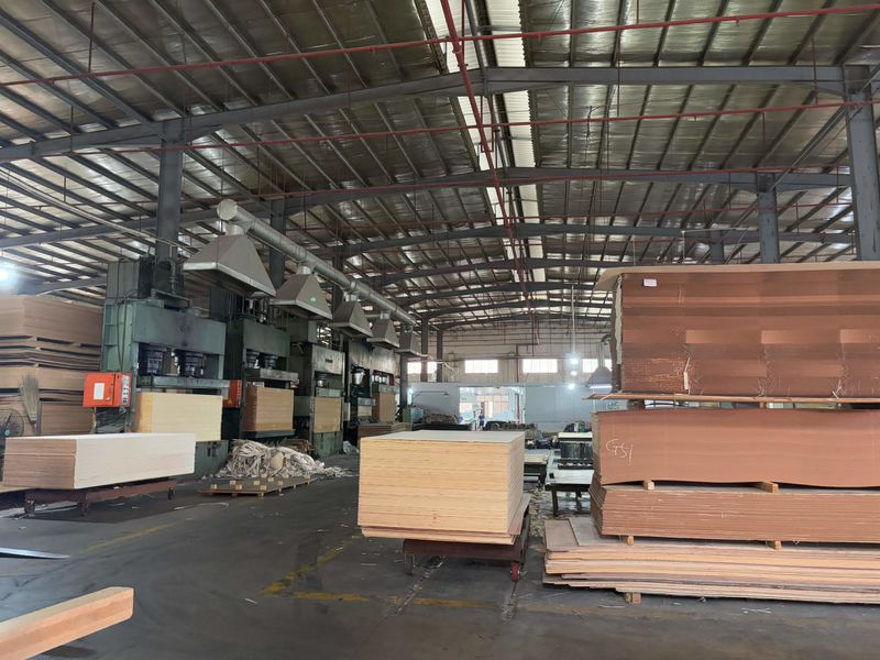 Dongguan Lingfeng Wood Industry Co., Ltd. línea de producción del fabricante