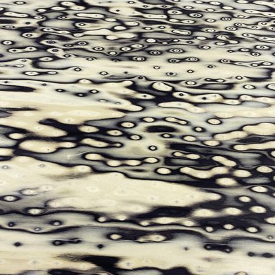 Color natural de chapa de madera de ingeniería de álamo duradero para puertas