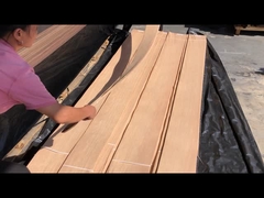 Chapa de chopo americano de corte radial